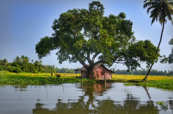 Adventure swamp tour -  Things to do in New Orleans with Family