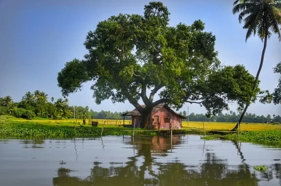 small water logged town in Alleppey : places to visit in Kerala